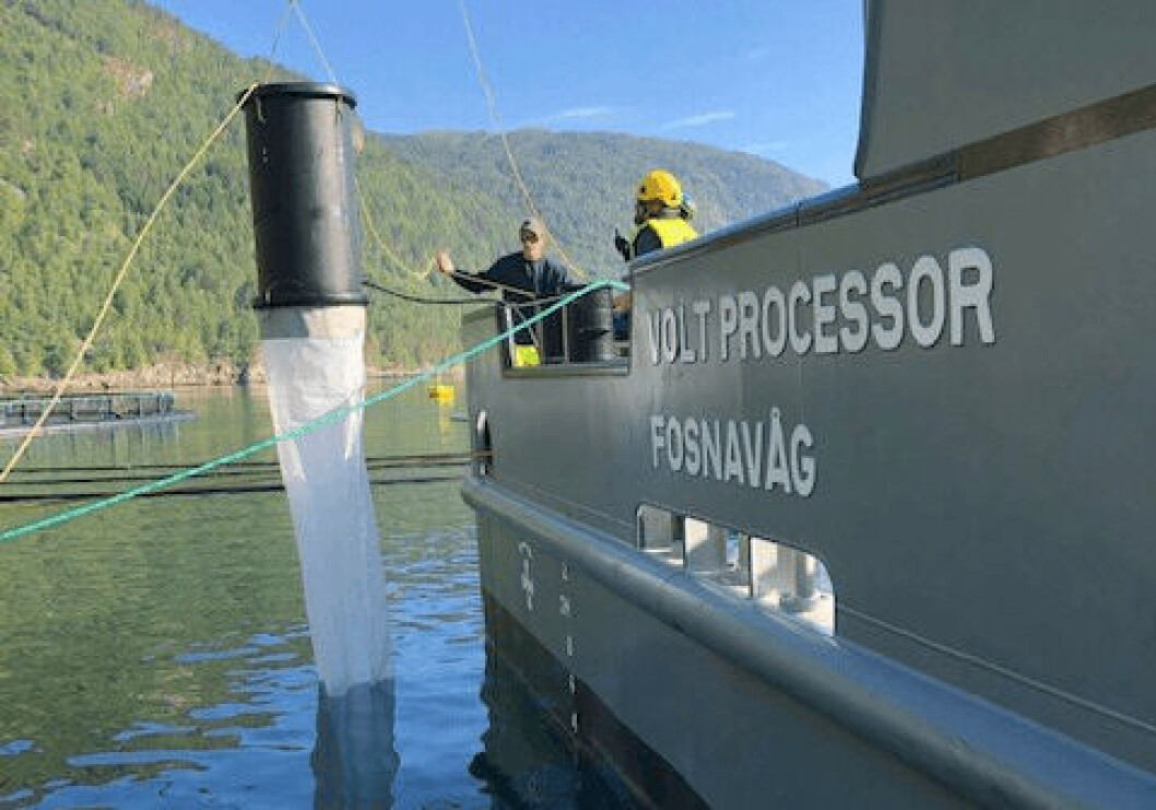 The NS Collector has been on trial with the Remøy Management delousing vessel Volt Processor in Norway. Photos: Vard Aqua. The NS Collector has been on trial with the Remøy Management delousing vessel Volt Processor in Norway. Photos: Vard Aqua.
