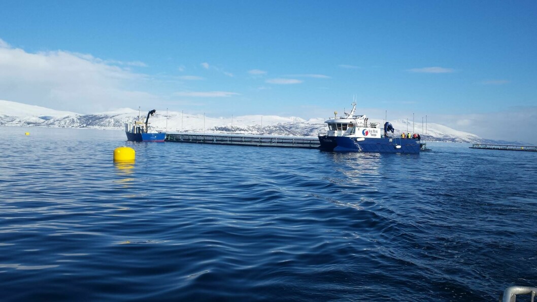 A SalMar salmon farm at Skarliodden, Norway. The company harvested 182,000 gwt of salmon in Norway and Iceland last year and is guiding for 191,000 gwt this year. Photo: SalMar