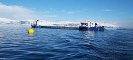 SSF co-owner SalMar harvested 182,000 tonnes of salmon last year