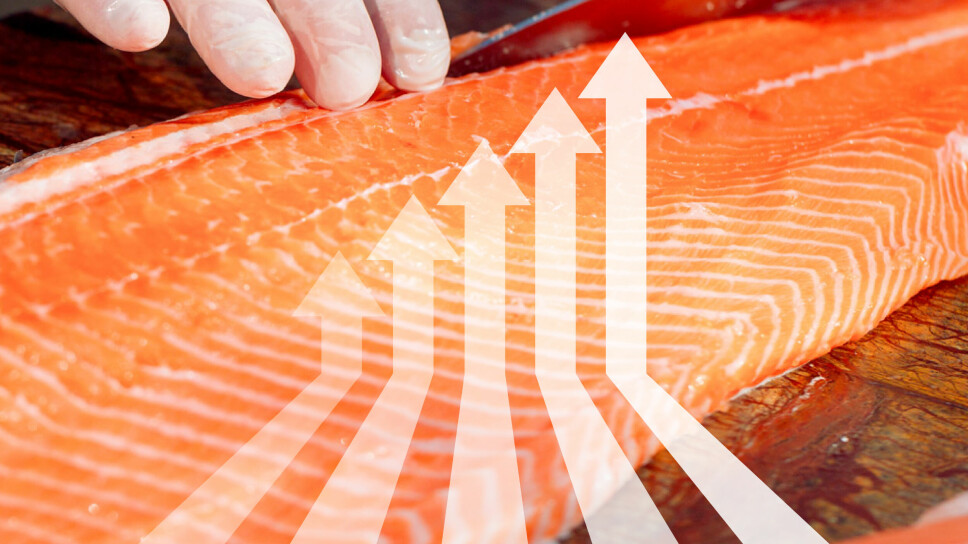 A lift for the salmon price in the week after Christmas