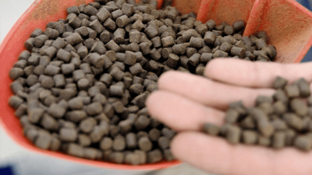 A study by scientists in Sweden indicates that aquafeed ingredients can be recovered from by-products using the 'pH shift' process. A study by scientists in Sweden indicates that aquafeed ingredients can be recovered from by-products using the 'pH shift' process.
