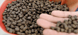 Scientists offer alternative to normal fishmeal production