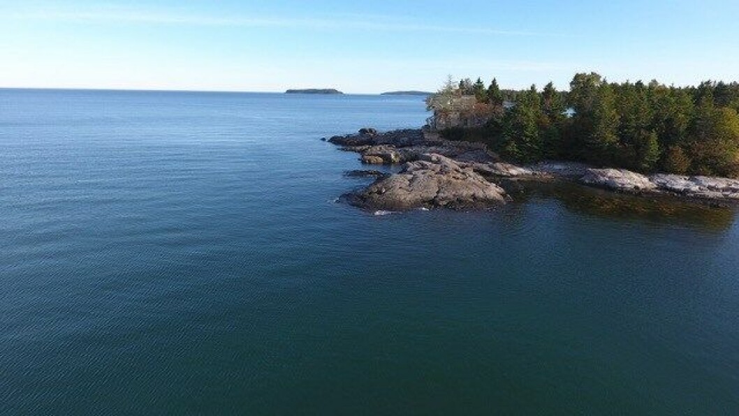 The Jonesport site in Maine, on the eastern coast of the US. Photo: The Kingfish Company. The Jonesport site in Maine, on the eastern coast of the US. Photo: The Kingfish Company.