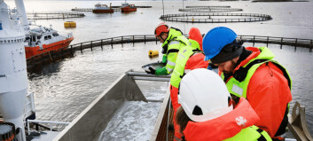 ‘Normal growth and good welfare’ for salmon kept 30m deep for 15 weeks