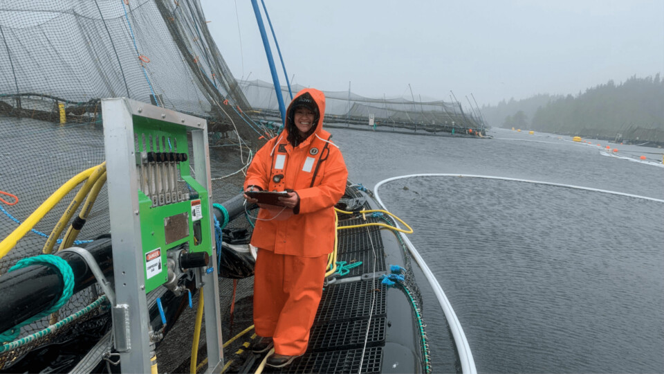 Plankton sampling at a Mowi salmon salmon farm in British Columbia. Discussions on the formation of a transition plan for salmon farms in BC will run until June 2023. Photo: Mowi Canada West.