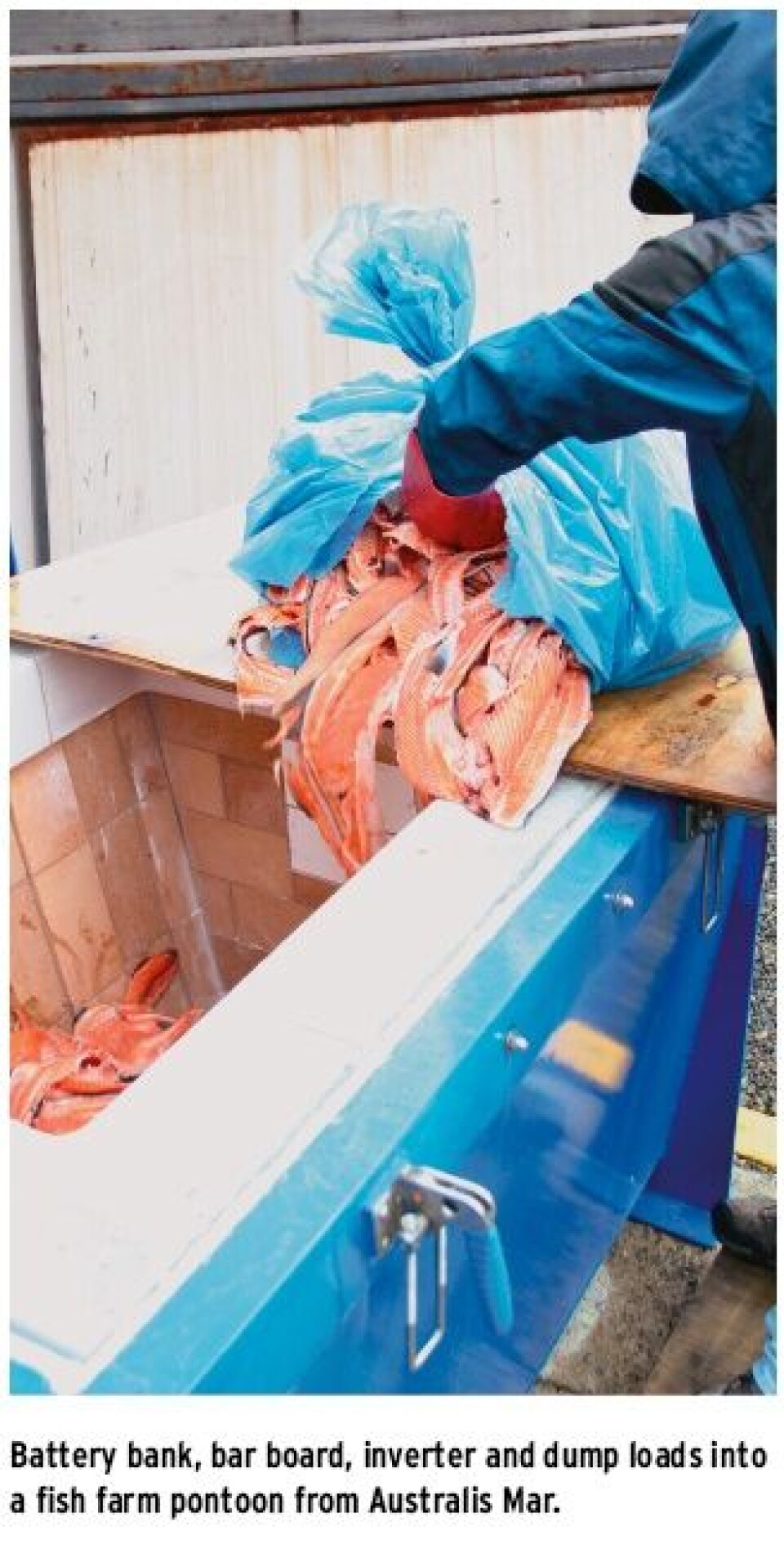“Three technologies seek to reduce costs in the salmon farming industry”