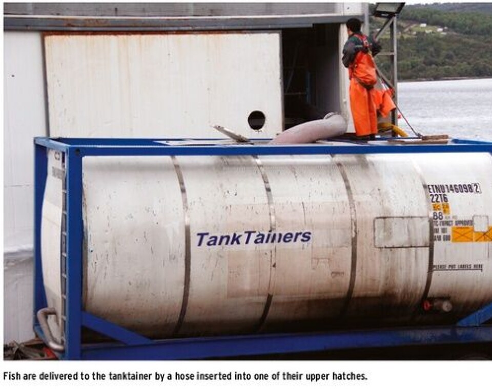 “Three technologies seek to reduce costs in the salmon farming industry”