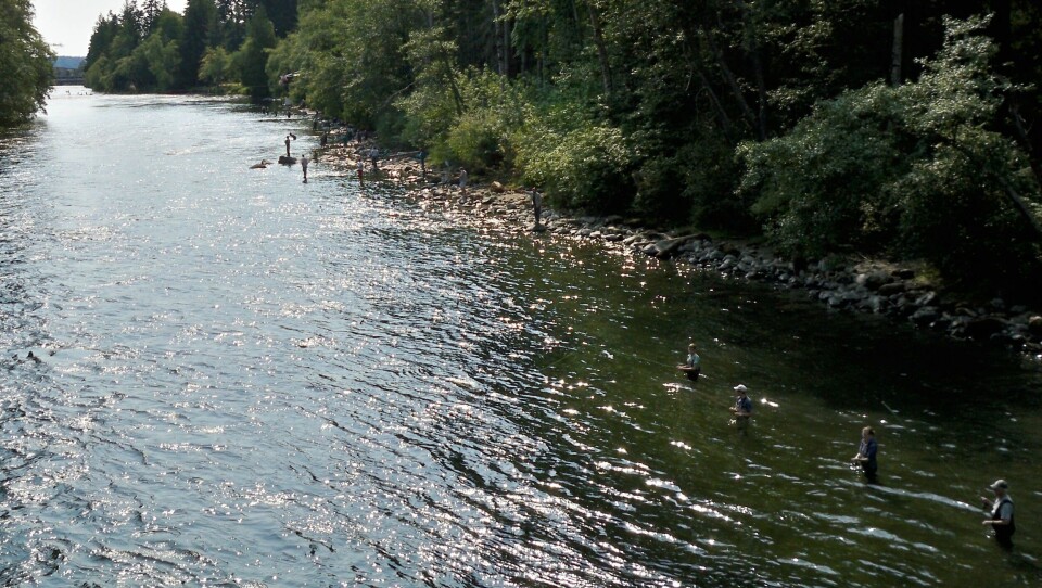 ep_bilder