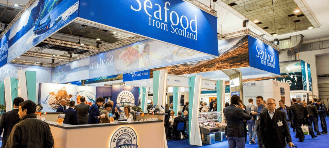 £1.8m earmarked for Scottish seafood sales push