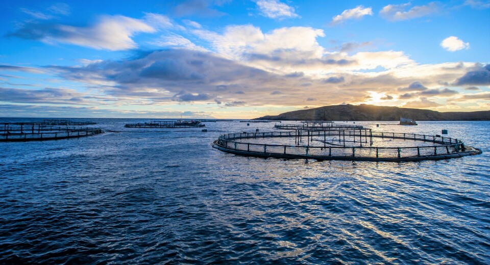 A salmon farm in Scotland. Trade body Salmon Scotland says a Sunday newspaper got it wrong when it suggested that a marine heatwave had increased mortality at sea farms in May.