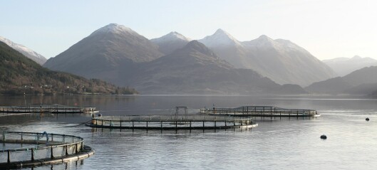 Scots government's three-part plan for aquaculture