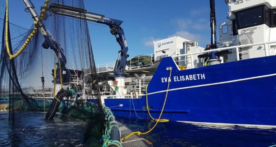 Delousing using a Thermolicer on the Eva Elisabeth. The electrostatic filter immobilised or killed 100% of lice in the discharge water. Photo: Bremnes Seashore.