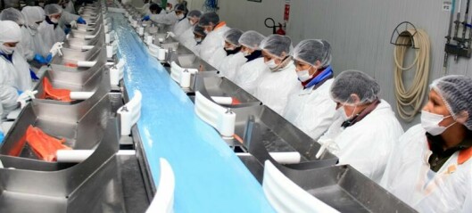Region of Los Lagos has exported 86% of all Chilean salmon