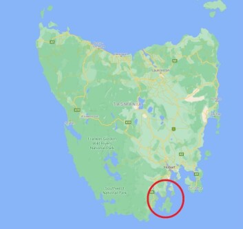 The fish escaped in the D’Entrecasteaux Channel, circled. Click to enlarge. Map: Google. The fish escaped in the D’Entrecasteaux Channel, circled. Click to enlarge. Map: Google.