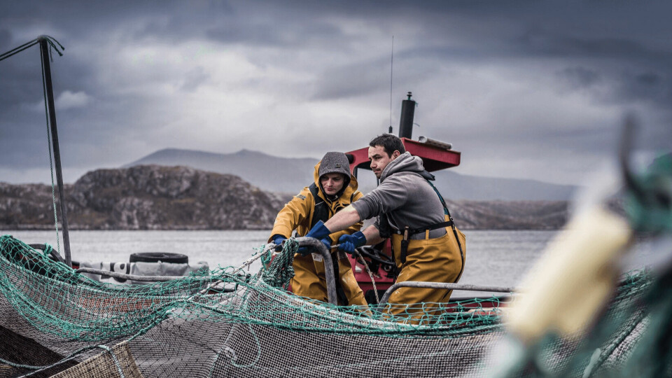 The taxes paid by fish farm workers come to £24 million a year, on top of £50m paid by firms in corporation tax. Photo: Loch Duart Salmon.