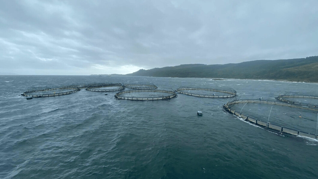 Mowi's third quarter included the loss of thousands of fish at its Carradale North site, when cages broke free from their moorings during Storm Ellen in August. Photo: Mowi.