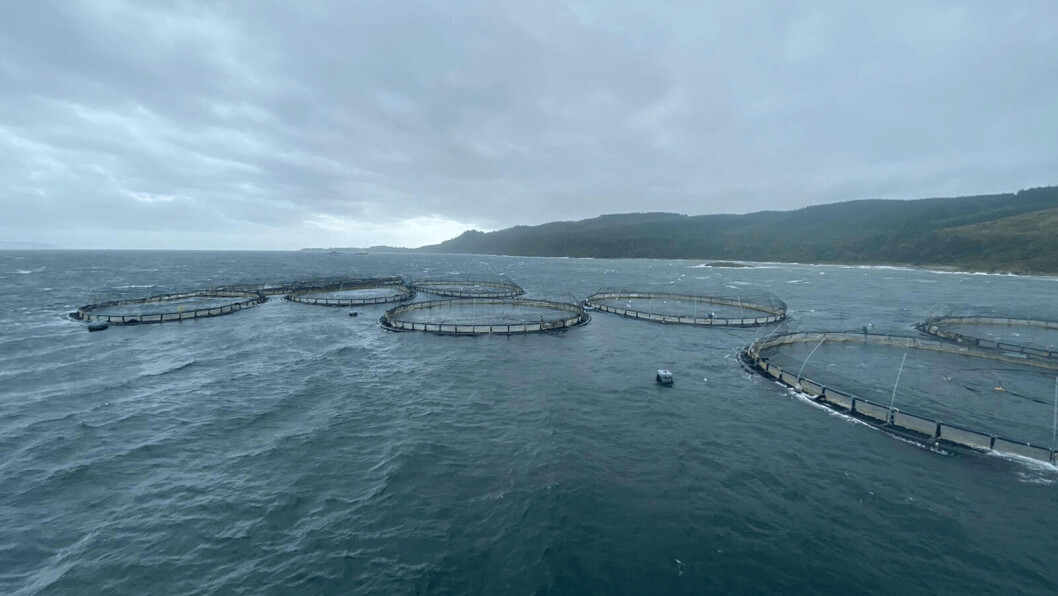 Mowi's third quarter included the loss of thousands of fish at its Carradale North site, when cages broke free from their moorings during Storm Ellen in August. Photo: Mowi. Mowi's third quarter included the loss of thousands of fish at its Carradale North site, when cages broke free from their moorings during Storm Ellen in August. Photo: Mowi.