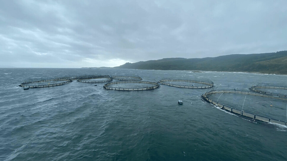 Cages from the Carradale Farm were secured after breaking from their moorings during a named storm in 2020. Mooring ropes rubbing against each other caused the failure, which resulted in the escape of nearly 49,000 salmon.