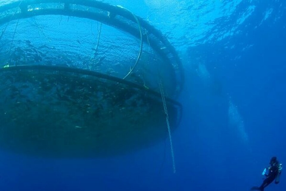 Referential image of aquaculture in the open sea. Photo: File Salmonexpert.