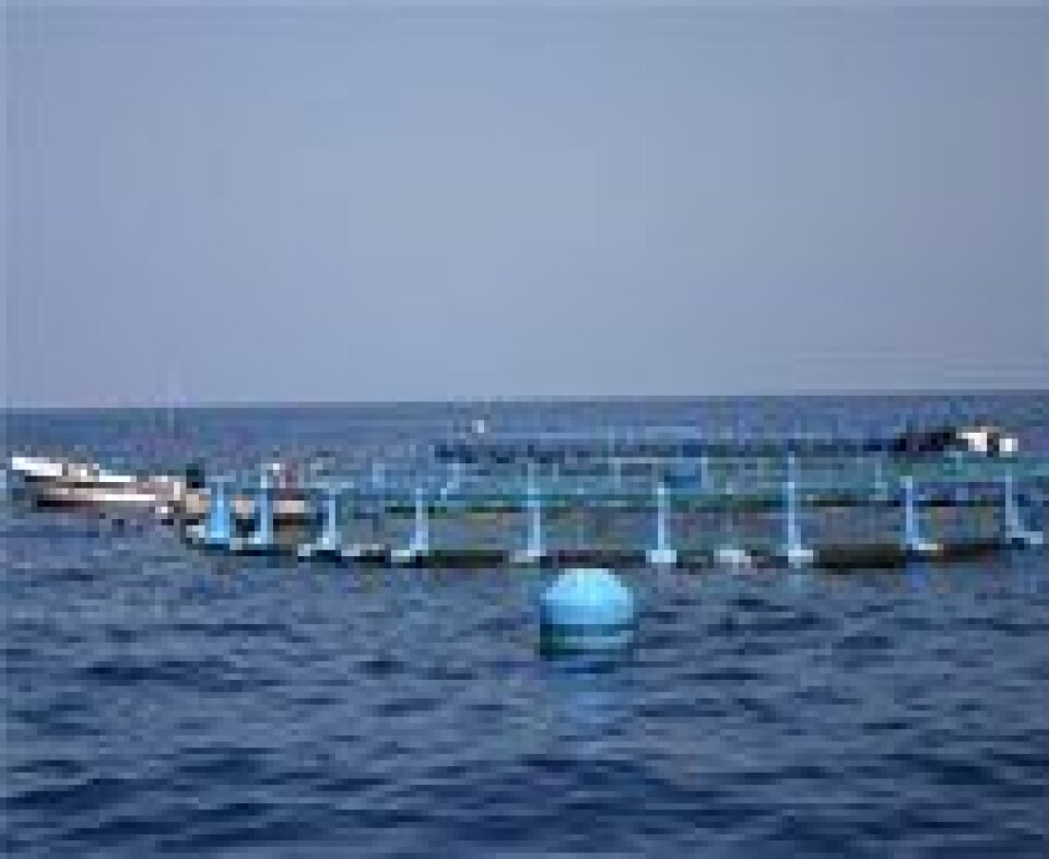 Tars has provided a platform for dialogue, among Asia’s key players in the finfish aquaculture sector.