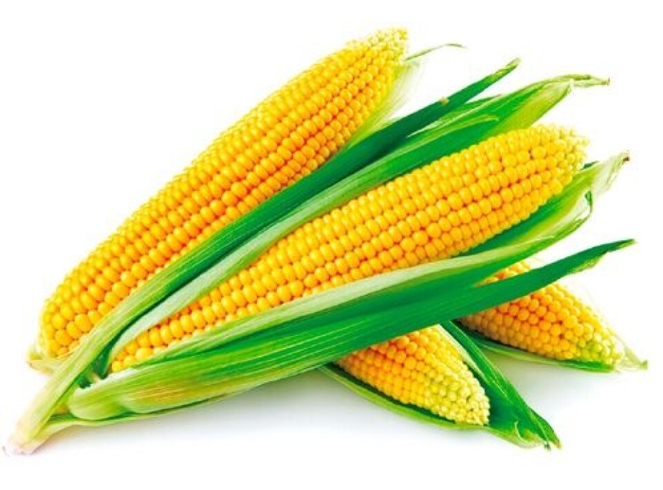 Alternative feed raw materials