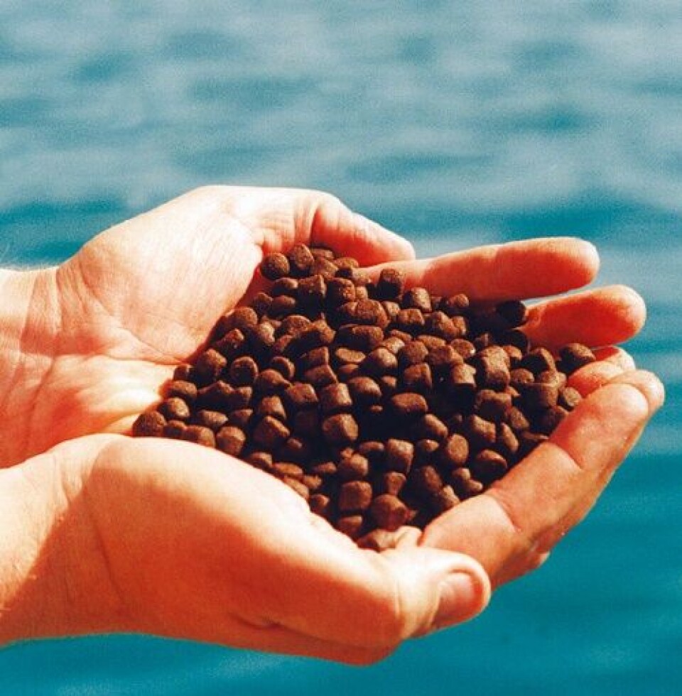 Alternative feed raw materials