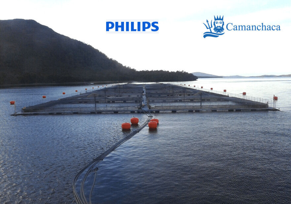 Salmones Camancha and Philips Lighting II
