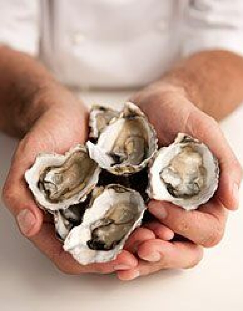 More than 600,000 tons of oysters are produced globally each year.