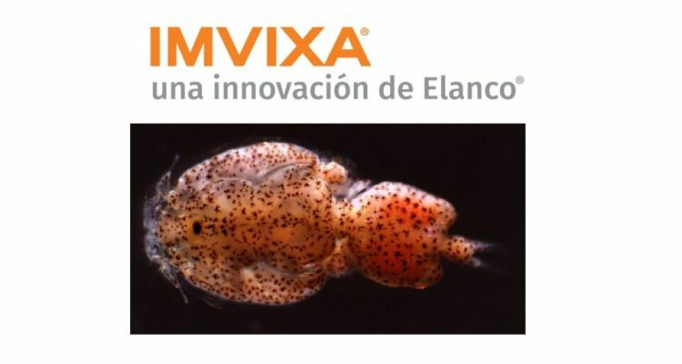 Imvixa has been successful in Chile, but has yet to get past regulators in Scotland and other salmon-producing countries.