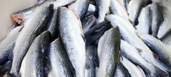 Invasion overshadows record February for Norway seafood