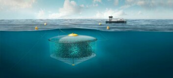 Appeal launched after subsea salmon farms rejected