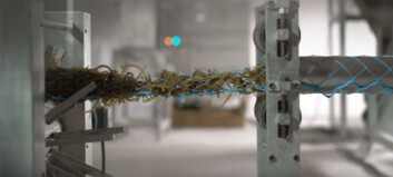 Aqua-Spark takes a stake in rope-to-retail seaweed company