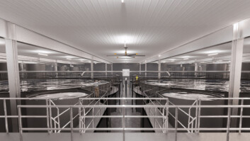 A visualisation of the interior of AquaBounty's salmon RAS in Pioneer, Ohio. Image: AquaBounty. A visualisation of the interior of AquaBounty's salmon RAS in Pioneer, Ohio. Image: AquaBounty.