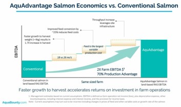 AquaBounty claims GE salmon can double EBITDA. Click on image to enlarge. Graphic: AquaBounty.
