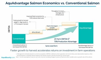 AquaBounty claims GE salmon can double EBITDA. Click on image to enlarge. Graphic: AquaBounty. AquaBounty claims GE salmon can double EBITDA. Click on image to enlarge. Graphic: AquaBounty.