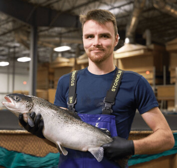 A farm technician with an AquAdvantage salmon at the company's RAS facility in Indiana.