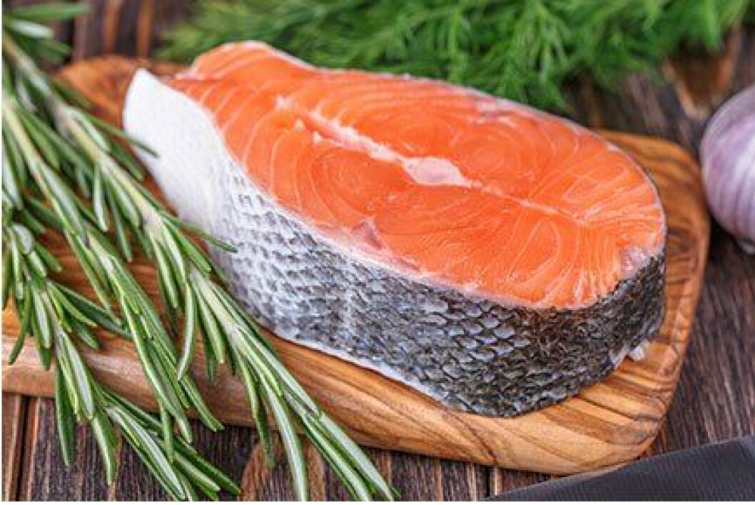 AquaBounty genetically engineered salmon steak. Image: AquaBounty AquaBounty genetically engineered salmon steak. Image: AquaBounty
