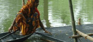 Aquaculture has improved food security, says UN