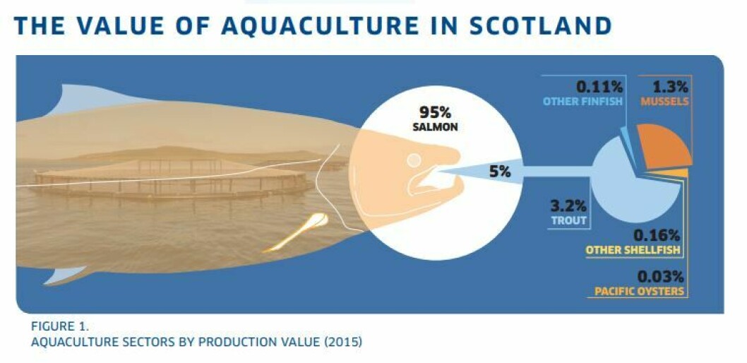 Atlantic salmon is the giant of Scotland's aquaculture sector.