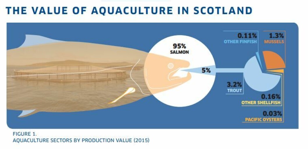 Atlantic salmon is the giant of Scotland's aquaculture sector. Atlantic salmon is the giant of Scotland's aquaculture sector.