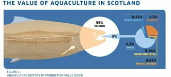Aquaculture now worth £620m a year to Scotland