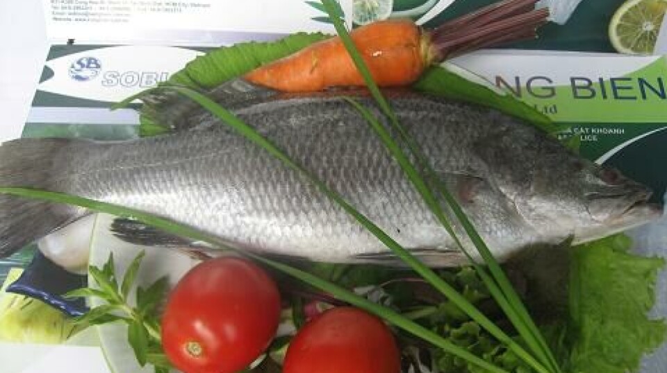 Vietnam has become the world leader in freshwater catfish production but indiscriminate use of antibiotics by fish farmers is causing antimicrobial resistance that threatens animal, human, and environmental health.