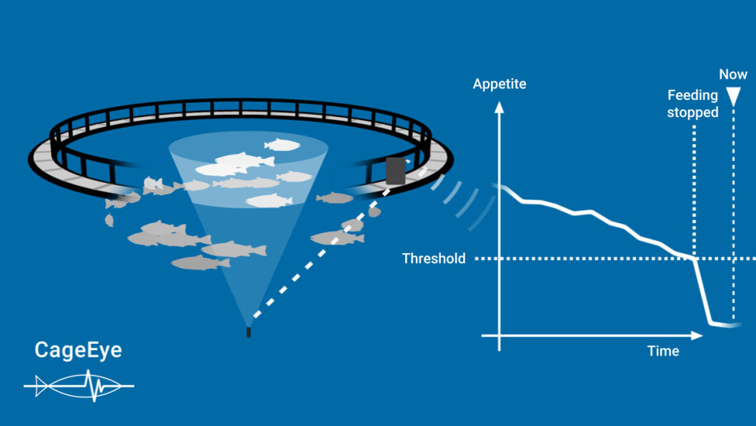 Four feed system manufacturers have agreed to share feed data with other technical companies, including the makers of CageEye. Four feed system manufacturers have agreed to share feed data with other technical companies, including the makers of CageEye.