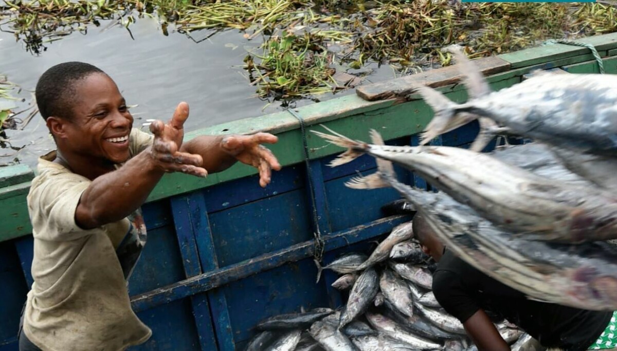Increased Fish Production Aquaculture takes world fish production to new record
