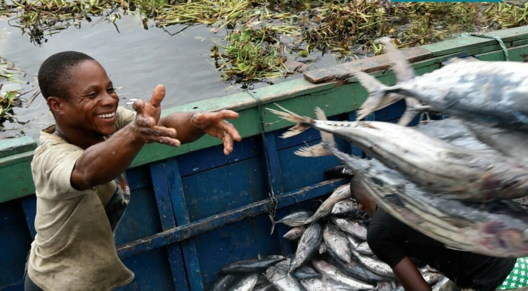 Aquaculture has an important impact on food security and rural livelihoods. Photo: FAO Aquaculture has an important impact on food security and rural livelihoods. Photo: FAO