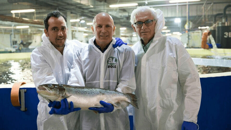 Members of the AquaMaof team at a RAS facility in Poland that it co-owns with one of its customers, Pure Salmon. RFC cited AquaMaof's experience in growing fish to harvest size as a reason for choosing the company. Photo: AquaMaof.