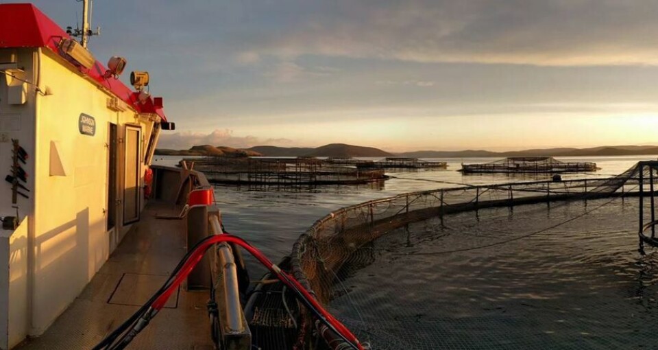 Johnson Marine now has net-washing operations in Shetland, Scotland, Iceland, Spain and Croatia. Photo: Johnson Marine.