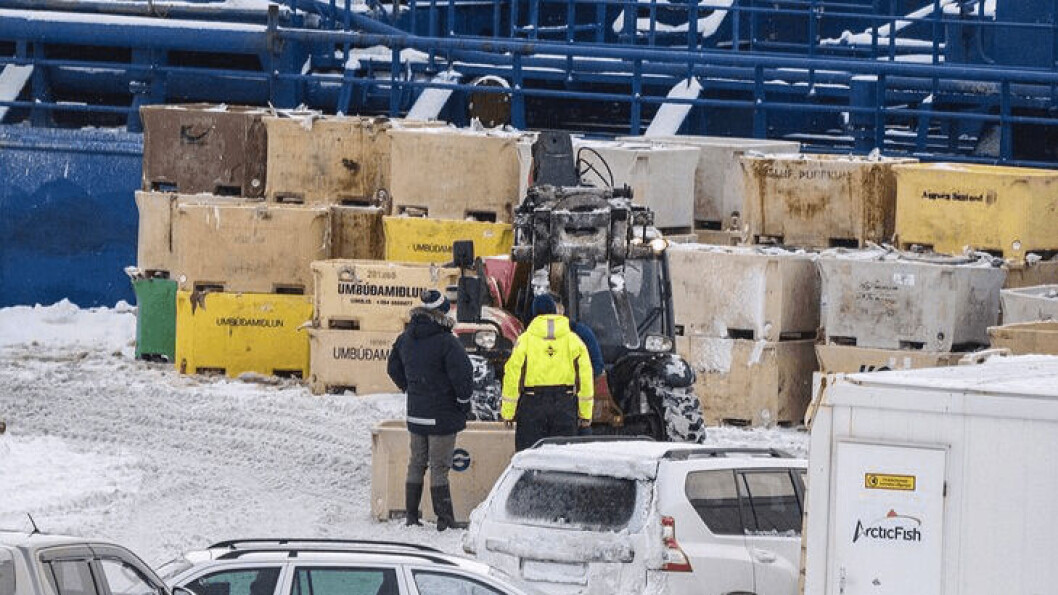 Containers holding morts from two Arctic Fish sites in Dyrafjordur. Photo: Stundin (The Hour). Containers holding morts from two Arctic Fish sites in Dyrafjordur. Photo: Stundin (The Hour).