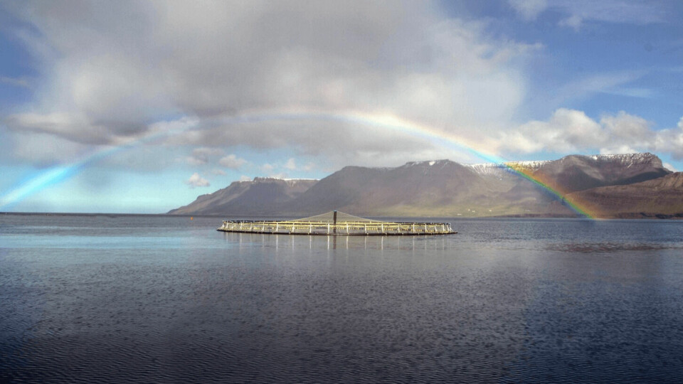 An Arctic Fish site in Iceland's western fjords. The company is raising money for expansion.