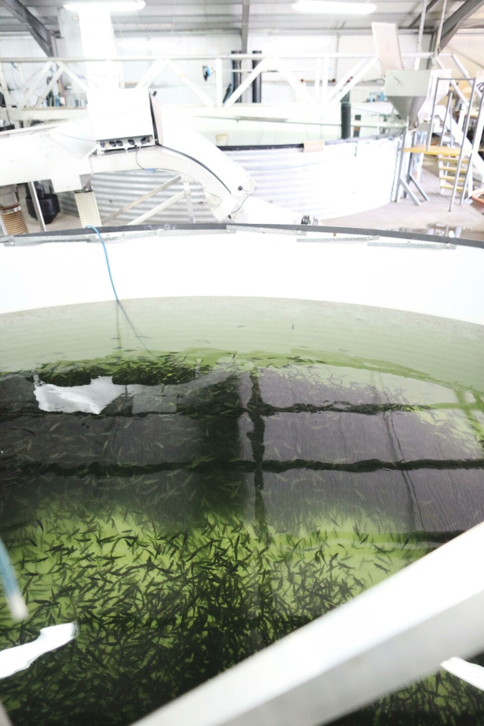 An existing Scottish Sea Farms freshwater facility